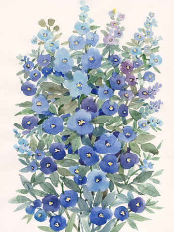 A Patch of Wildflowers II White Modern Wood Framed Art Print with Double Matting by Nichols, Tim