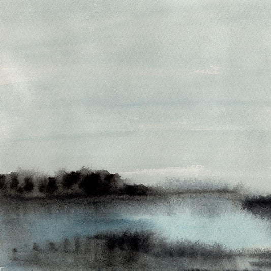 Image Only
