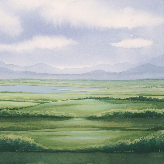 Image Only