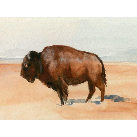 Grazing Bison I Black Modern Wood Framed Art Print with Double Matting by Parker, Jennifer Paxton