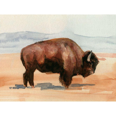 Grazing Bison II White Modern Wood Framed Art Print by Parker, Jennifer Paxton