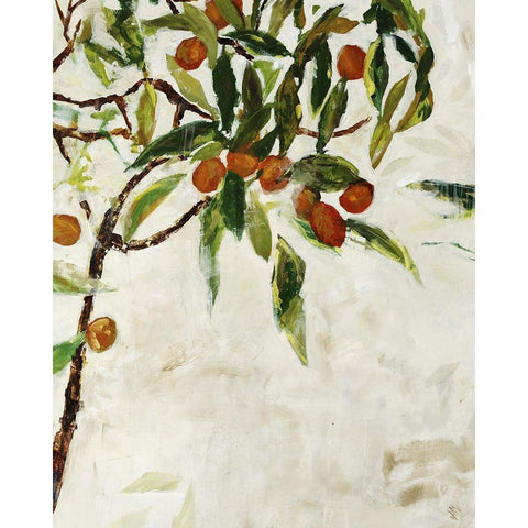 Kumquat Tree Black Modern Wood Framed Art Print by Maas, Jodi