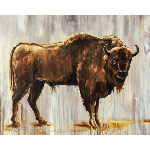 Bison Black Modern Wood Framed Art Print by Edmunds, Sydney