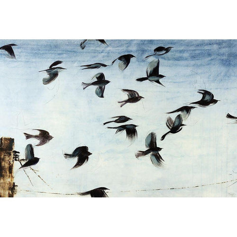 Sparrows Black Modern Wood Framed Art Print by Taylor, Kari