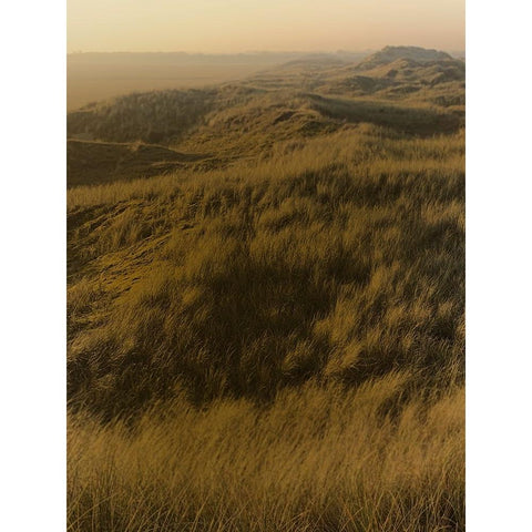 Golden Fog I Black Modern Wood Framed Art Print with Double Matting by Green, Jacob