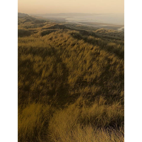 Golden Fog II Black Modern Wood Framed Art Print with Double Matting by Green, Jacob