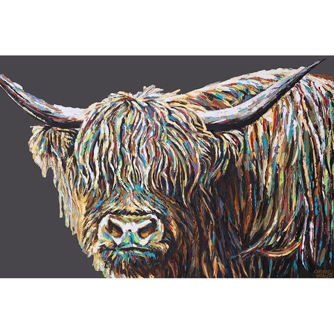 Custom Woolly Highland I White Modern Wood Framed Art Print by Vitaletti, Carolee