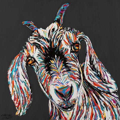 Custom Funny Goat II White Modern Wood Framed Art Print with Double Matting by Vitaletti, Carolee