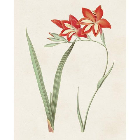 Flowers of the Seasons IV Gold Ornate Wood Framed Art Print with Double Matting by Unknown