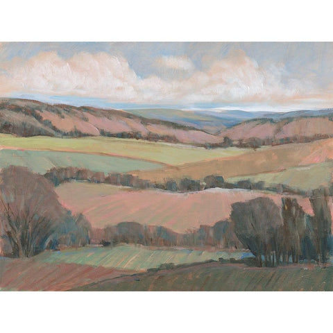 Hilly Countryside II Black Modern Wood Framed Art Print by OToole, Tim