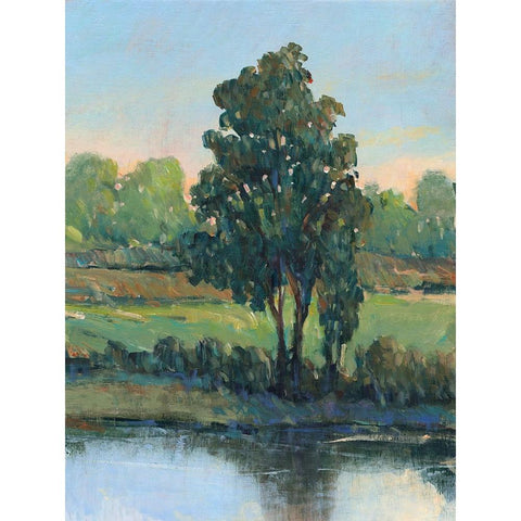 Tree by the Riverbank I Black Modern Wood Framed Art Print with Double Matting by OToole, Tim