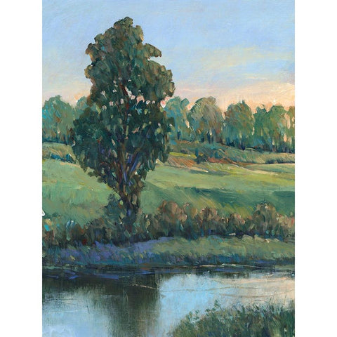 Tree by the Riverbank II Gold Ornate Wood Framed Art Print with Double Matting by OToole, Tim