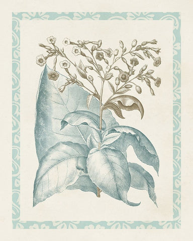 Willow Blue Besler I Black Ornate Wood Framed Art Print with Double Matting by Vision Studio