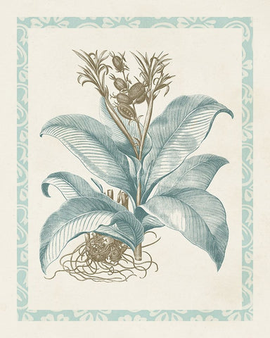 Willow Blue Besler III Black Ornate Wood Framed Art Print with Double Matting by Vision Studio