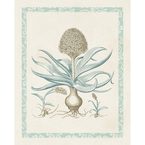 Willow Blue Besler IV Black Modern Wood Framed Art Print by Vision Studio