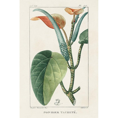 Turpin Tropical Botanicals II White Modern Wood Framed Art Print by Turpin