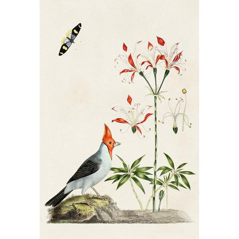 Bird in Habitat I Black Modern Wood Framed Art Print by Unknown