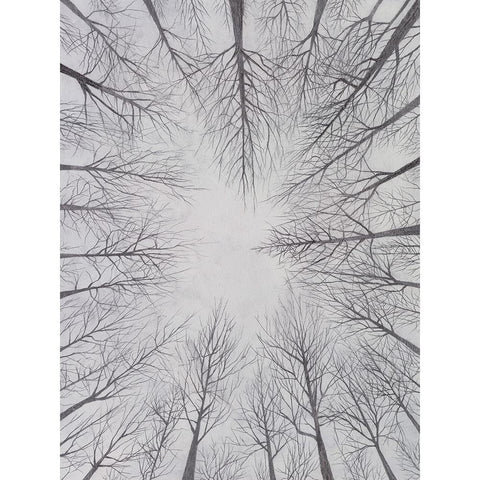 Deciduous Canopy I Black Modern Wood Framed Art Print with Double Matting by Willett, Michael