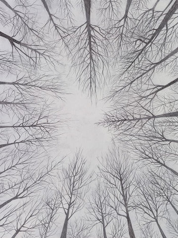Deciduous Canopy I Black Ornate Wood Framed Art Print with Double Matting by Willett, Michael