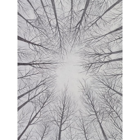 Deciduous Canopy II White Modern Wood Framed Art Print by Willett, Michael