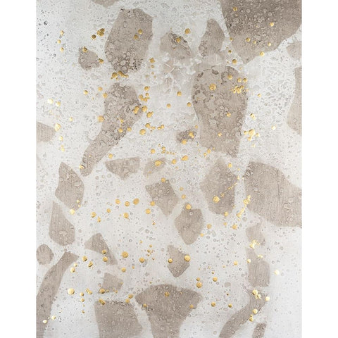 Chordata II Black Modern Wood Framed Art Print by Lam, Vanna