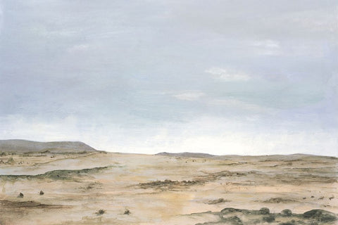 Arid Vista I Black Ornate Wood Framed Art Print with Double Matting by Willett, Michael
