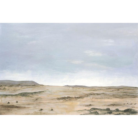 Arid Vista I Black Modern Wood Framed Art Print with Double Matting by Willett, Michael