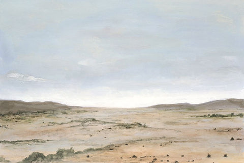Arid Vista II White Modern Wood Framed Art Print with Double Matting by Willett, Michael