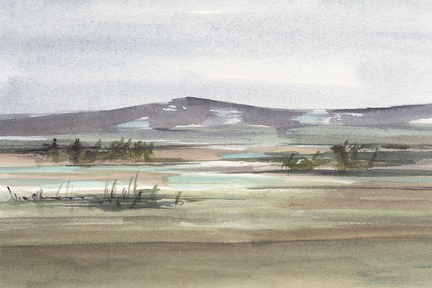 Muted Marsh I Black Ornate Wood Framed Art Print with Double Matting by Harper, Ethan