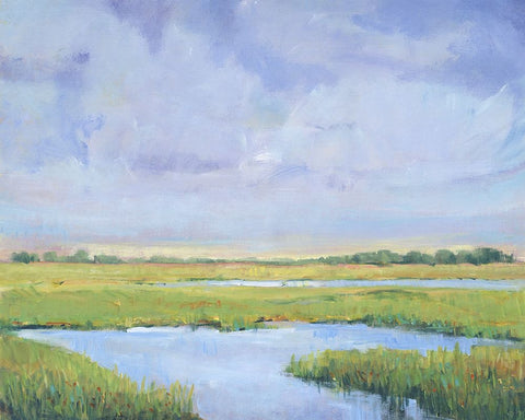 Summer Marsh I White Modern Wood Framed Art Print with Double Matting by OToole, Tim