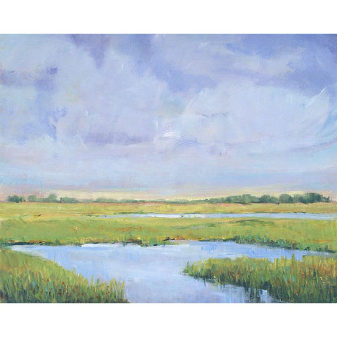 Summer Marsh I White Modern Wood Framed Art Print by OToole, Tim