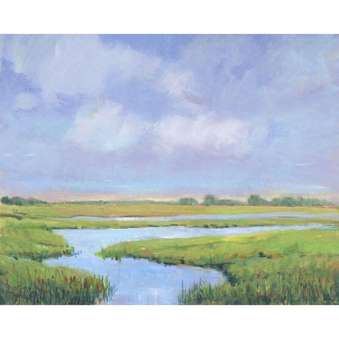 Summer Marsh II Black Modern Wood Framed Art Print by OToole, Tim