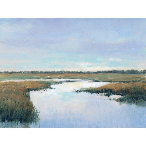 Coastal Plains I Gold Ornate Wood Framed Art Print with Double Matting by OToole, Tim