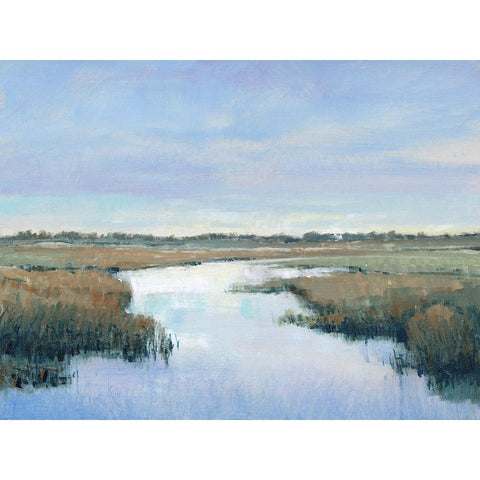 Coastal Plains II Black Modern Wood Framed Art Print with Double Matting by OToole, Tim