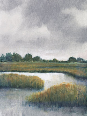 Salt Marshes I White Modern Wood Framed Art Print with Double Matting by OToole, Tim