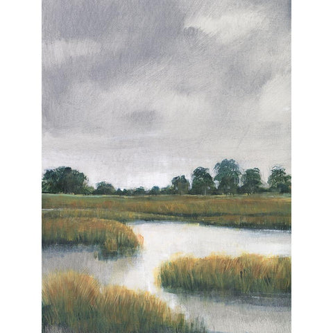 Salt Marshes II Gold Ornate Wood Framed Art Print with Double Matting by OToole, Tim