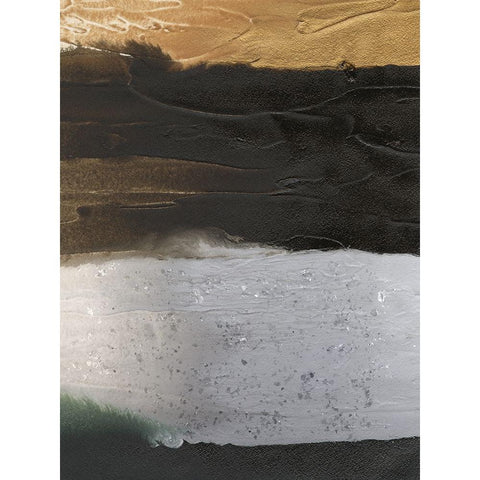 Embellished Coastal Plain I Black Modern Wood Framed Art Print by Lam, Vanna