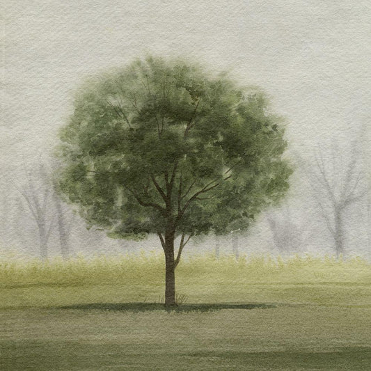 Image Only
