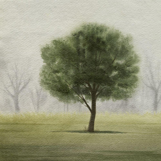 Image Only