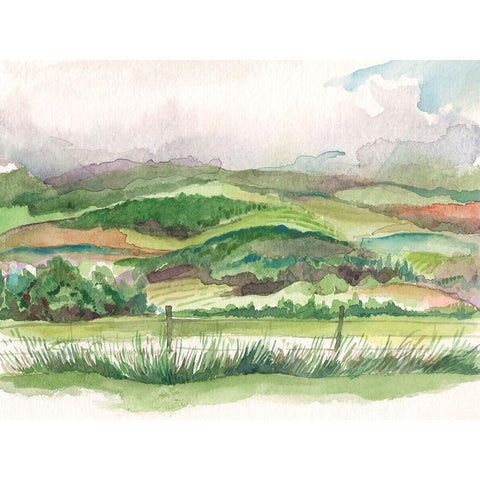 Bennachie Rain I Gold Ornate Wood Framed Art Print with Double Matting by Marr, Laura