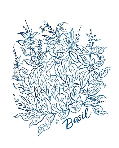 Summer Herb Garden Sketches I White Modern Wood Framed Art Print with Double Matting by Marr, Laura