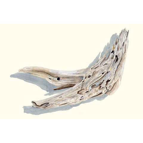 Driftwood Study III Gold Ornate Wood Framed Art Print with Double Matting by Willett, Michael