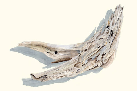 Driftwood Study III Black Ornate Wood Framed Art Print with Double Matting by Willett, Michael