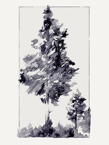 Inky Evergreen I Black Ornate Wood Framed Art Print with Double Matting by Green, Jacob