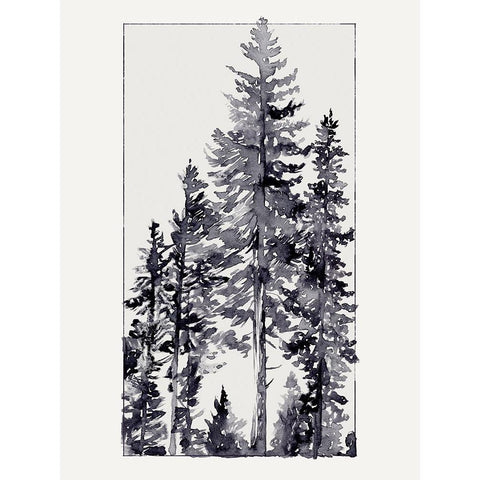 Inky Evergreen II Black Modern Wood Framed Art Print by Green, Jacob