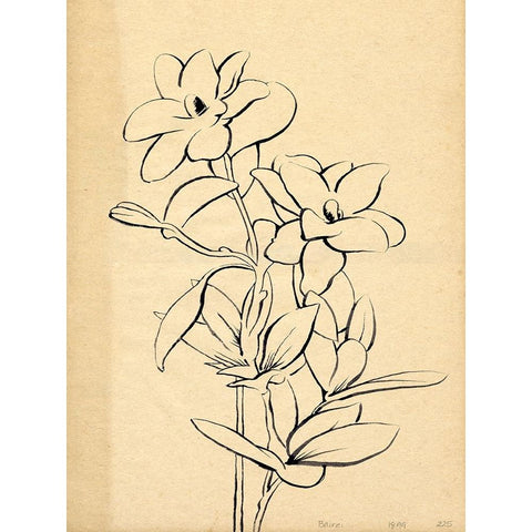 Magnolia Sketch I Black Modern Wood Framed Art Print with Double Matting by Green, Jacob