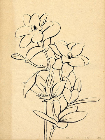 Magnolia Sketch I White Modern Wood Framed Art Print with Double Matting by Green, Jacob