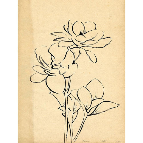 Magnolia Sketch II Black Modern Wood Framed Art Print with Double Matting by Green, Jacob