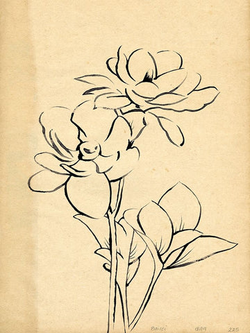 Magnolia Sketch II White Modern Wood Framed Art Print with Double Matting by Green, Jacob