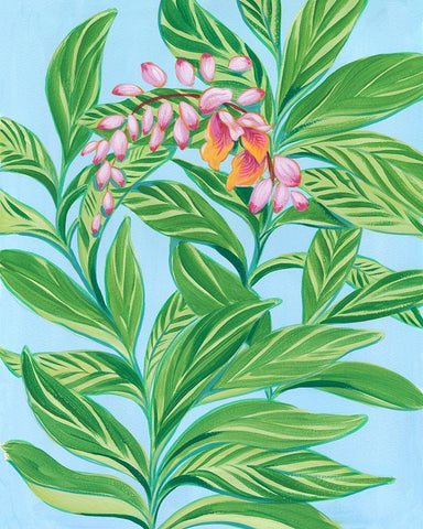 Tropical Shell Ginger I White Modern Wood Framed Art Print with Double Matting by Marr, Laura